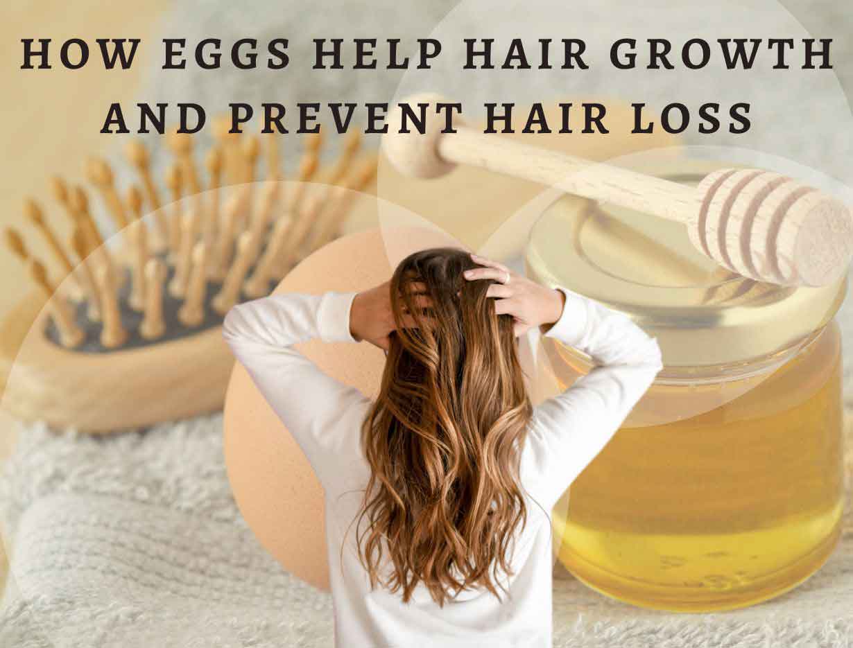 How Eggs help Hair Growth and Prevent Hair Loss? 