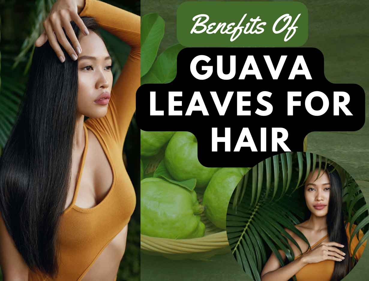 What are the Benefits of Guava Leaves for Hair? 