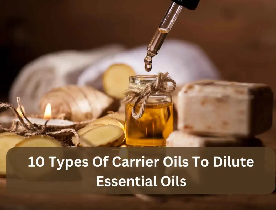 Types Of Carrier Oils
