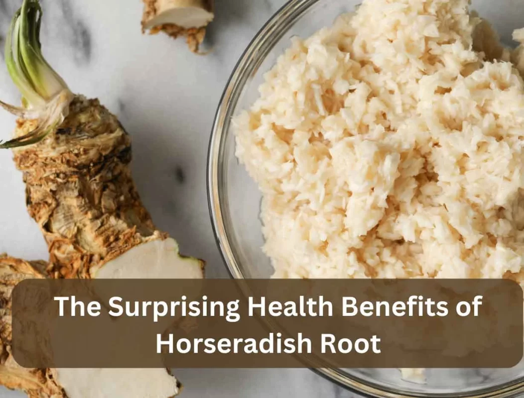 Benefits Of Horseradish Root | Saqib.co.in