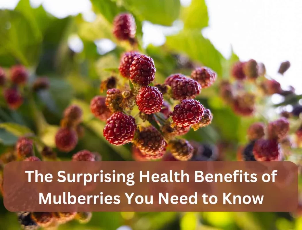 Benefits Of Mulberries | berries