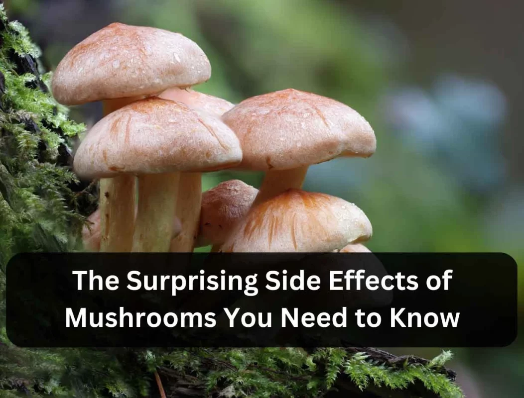 side effects of mushrooms
