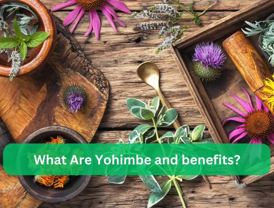 yohimbe benefits | saqib.co.in